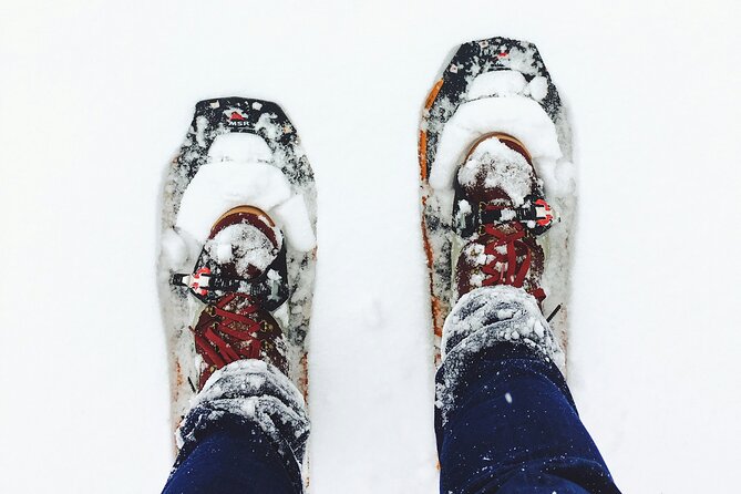 Arctic Darkness & Starlight Adventure with Snowshoes - From the bus station to snowshoes: the 2-hour flow