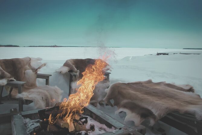Arctic Darkness & Starlight Adventure with Snowshoes - Who this Northern Echoes night hike suits best