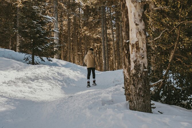 Arctic Darkness & Starlight Adventure with Snowshoes - Snowshoes, headlights, and the one thing to pack yourself