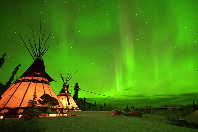 Arctic Day: Aurora Viewing Tour | late night - Price and value: what you get for $125.39
