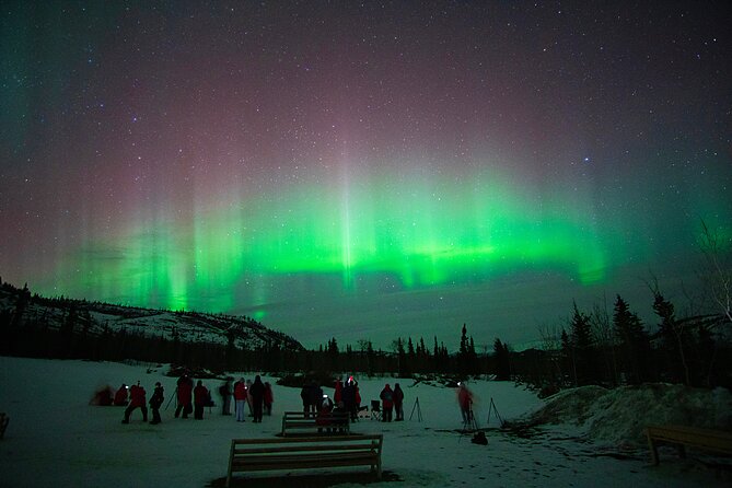 Arctic Day: Aurora Viewing Tour | late night - Small-group feel (up to 100) and what that means at night