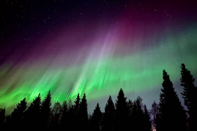 Aurora BBQ in the Private Place in Rovaniemi - Key Things I’d Bet You’ll Notice Right Away