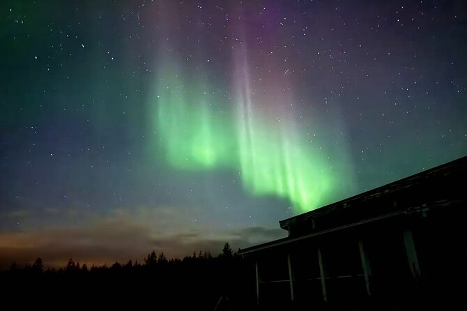 Aurora BBQ in the Private Place in Rovaniemi - Aurora Viewing Reality Check: What You Can Control and What You Can’t