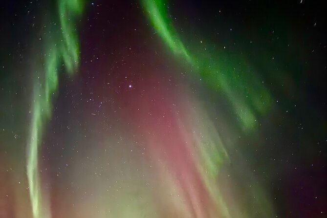 Aurora BBQ in the Private Place in Rovaniemi - Price and Value: Is $78 Fair for a 3-Hour Private-Spot Night?