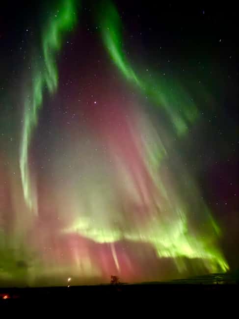 Aurora BBQ in the Private Place in Rovaniemi - Practical details that affect your night (without the fluff)