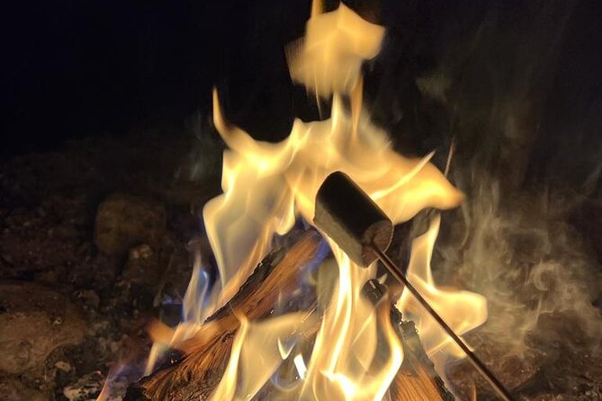 Aurora BBQ in the Private Place in Rovaniemi - Getting There: Rovakatu Pickup and a Short Drive Into the Quiet