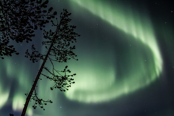 Aurora Borealis Picnic in Rovaniemi - The 3-hour flow: what the timing feels like