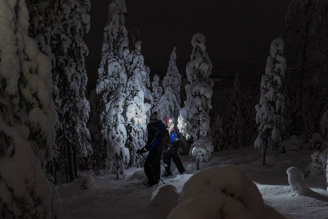 Aurora Borealis Snowshoeing Adventure by Night from Rovaniemi - Price and value: what $150.60 buys in 3 hours