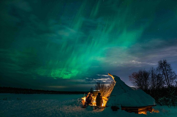 Aurora Borealis Snowshoeing Adventure by Night from Rovaniemi - Wildlife possibilities: reindeer and arctic hares