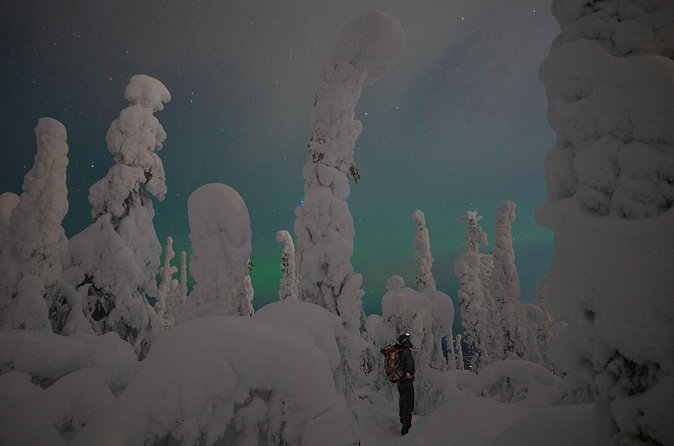 Aurora Borealis Snowshoeing Adventure by Night from Rovaniemi - When auroras don’t show: how to judge the night fairly