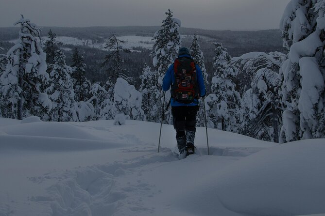 Aurora Borealis Snowshoeing Adventure by Night from Rovaniemi - Getting started in Rovaniemi: Jaakonkatu 4–6 at 7:30 pm