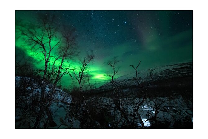 Aurora Borealis Tour in Kiruna - Lapland with Stejk Street Food - Stejk Street Food tipi dinner: the best kind of warm-up