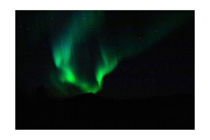 Aurora Borealis Tour in Kiruna - Lapland with Stejk Street Food - The aurora hunt drive: forecast-based stops and short nature walks