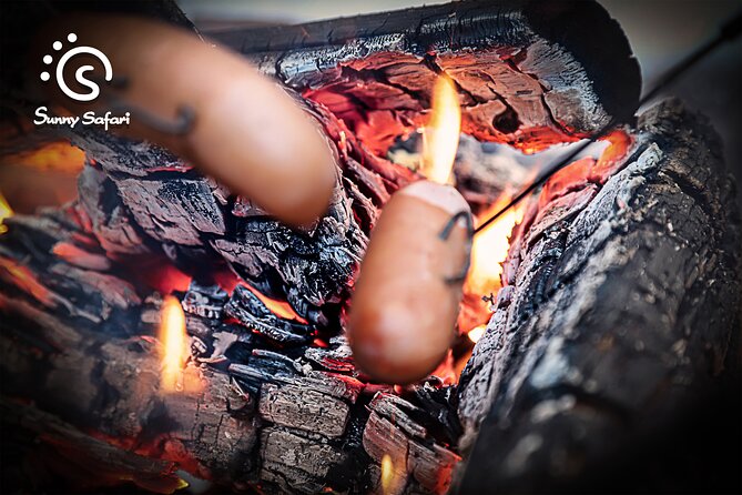 Aurora Borealis Trip in Lapland Lakeside - Should you book Aurora Borealis Trip in Lapland Lakeside?