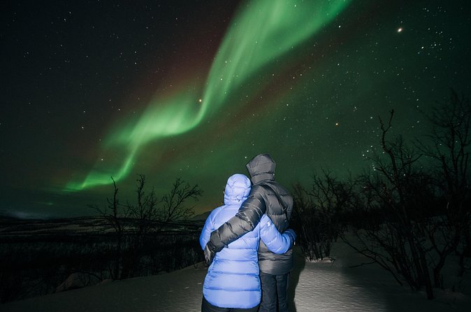Aurora Car Chasing Tour with Photographer - Price and value: what $158.21 buys you here