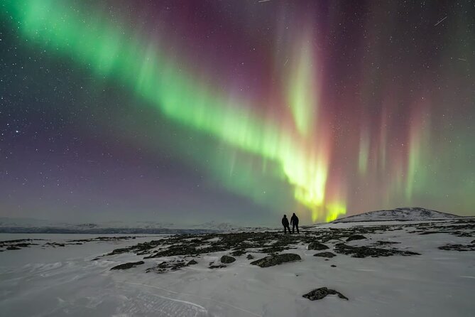 Aurora Car Chasing Tour with Photographer - Group size and comfort: the small-team advantage