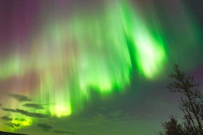Aurora Car Chasing Tour with Photographer - Weather, timing, and what to pack (without overthinking it)