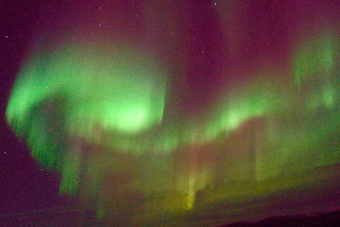Aurora Chaser Tour - The Viewing Session: Coffee, Patient Spot-Searching, and Guide Check-Ins