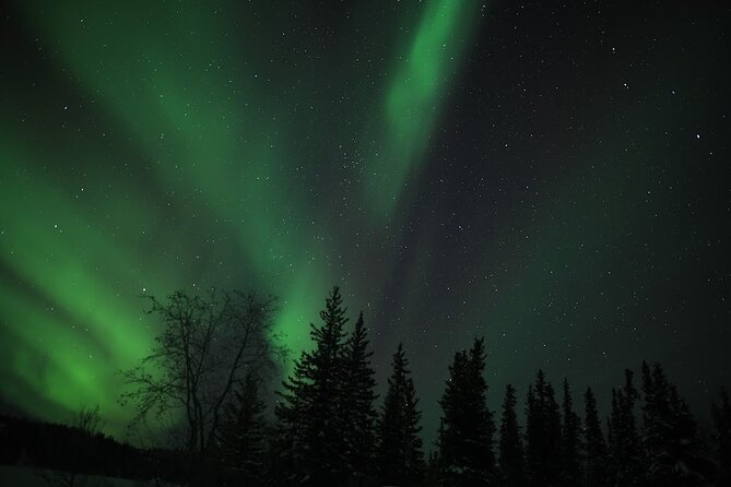 Aurora Chasing + Aurora Lodge - Lodge Comfort Tradeoffs: Heat, Smells, Food, and Space Expectations