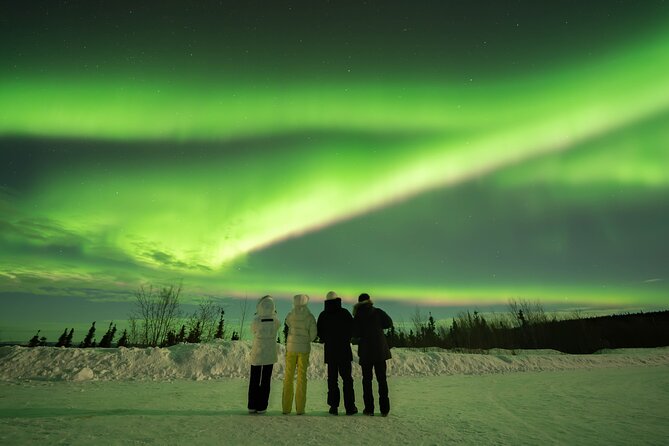 Aurora Chasing Tour With Free Photography Service - The free photography service: getting your shots without the guesswork