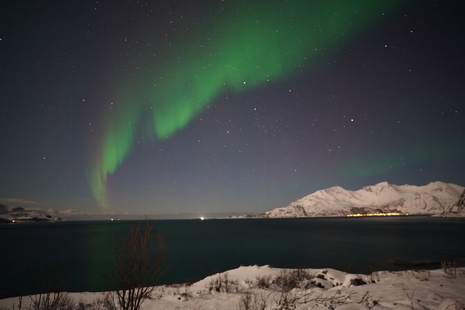 AURORA DAİLY Northern Lights Safari Tour 8 Guests with PİCKUP - Key things that make this Tromsø Northern Lights safari work