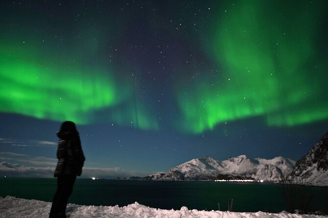AURORA DAİLY Northern Lights Safari Tour 8 Guests with PİCKUP - Entering the Tromsø night: pickup, timing, and communication