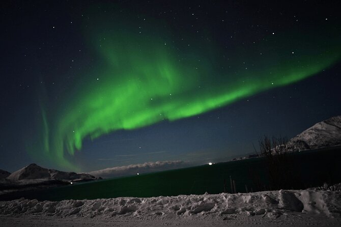 AURORA DAİLY Northern Lights Safari Tour 8 Guests with PİCKUP - Small group chasing: what changes when it’s capped at 8