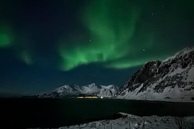 AURORA DAİLY Northern Lights Safari Tour 8 Guests with PİCKUP - Price and value at $290.10: what you’re really paying for