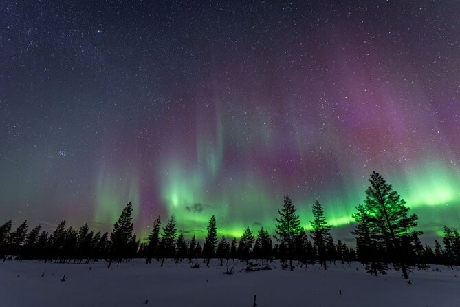 Aurora Guarantee: Ultimate Northern Lights Experience - Photography and the “photos count as seeing” rule