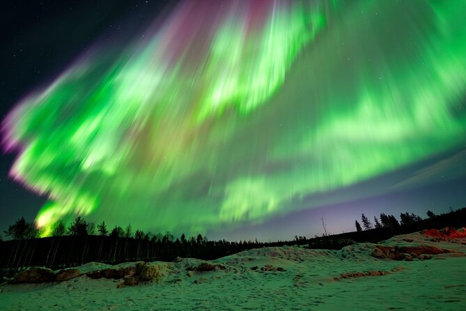 Aurora Guarantee: Ultimate Northern Lights Experience - Service reality check: mixed reviews and what to watch for