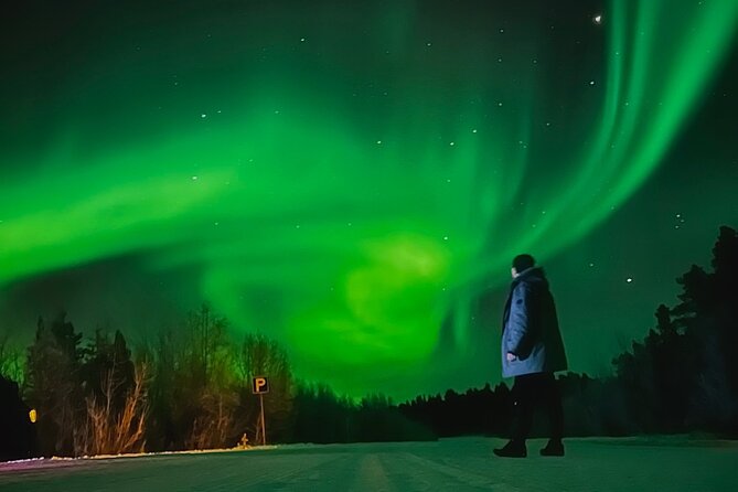 Aurora Hunt with BBQ in Rovaniemi - Key points to know before you go