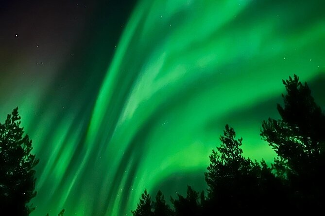 Aurora Hunt with BBQ in Rovaniemi - Pickup around Rovaniemi (and why it makes the tour easier)