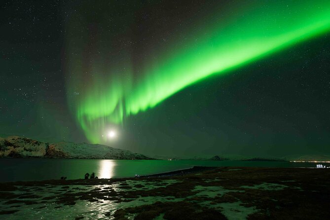 Aurora Hunt with Professional Photographer from Alta - Key points before you go