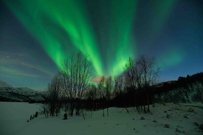 Aurora Hunt with Professional Photographer from Alta - Cost and value: is $1,145 actually fair for this?