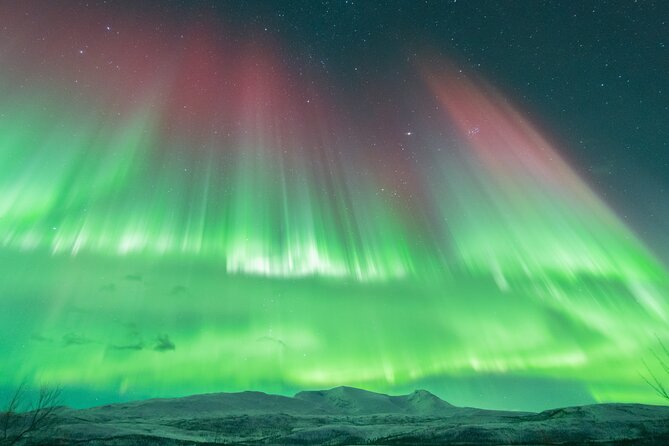Aurora Hunt with the campfire and professional photographer - Meeting point and where you get dropped off