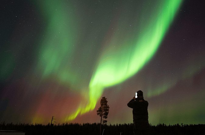 Aurora Hunting by Minivan in Ivalo, Inari or Saariselkä - Stop 3: Driving Back While the Sky Gets Another Chance