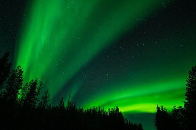 Aurora Hunting by Minivan in Ivalo, Inari or Saariselkä - The Minivan Advantage: Comfort, Visibility, and Less Guesswork