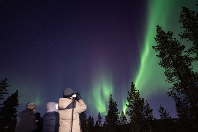 Aurora Hunting by Minivan in Ivalo, Inari or Saariselkä - Stop 1: First Aurora Scouting Around Ivalo