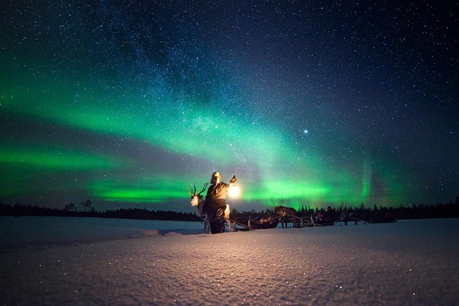 Aurora Hunting by Reindeer Sleigh - Key highlights worth caring about