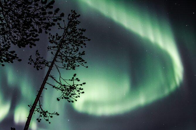 Aurora Hunting Photo Tour from Rovaniemi with Pickup - A 4-Hour Aurora Hunt Built for Photos and Comfort