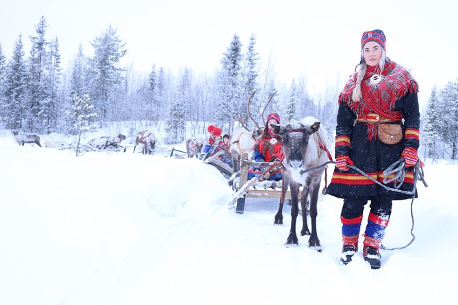 Aurora Hunting with Reindeer Caravan - Key takeaways before you go