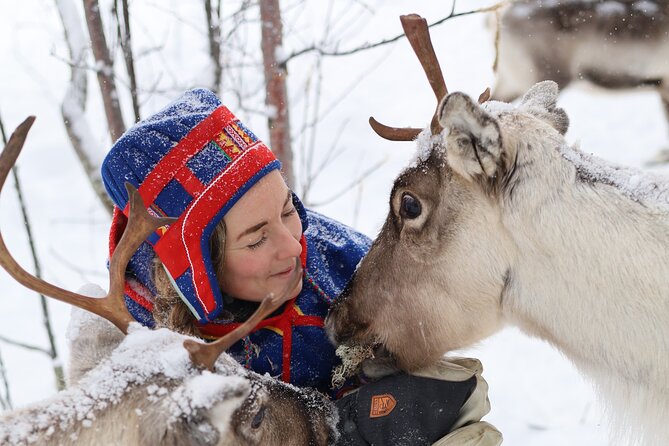 Aurora Hunting with Reindeer Caravan - Price and value: what $321 really buys you in Lapland