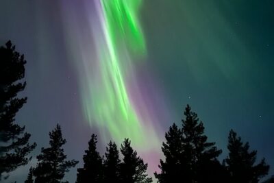 Aurora Hunting with Reindeer Caravan - 5:30 pm pickup and the ride out from Kiruna