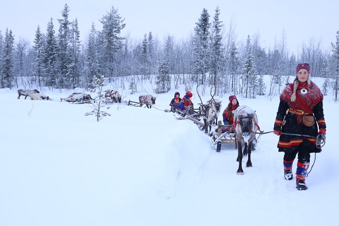 Aurora Hunting with Reindeer Caravan - Aurora hunting reality check: what to expect in the dark