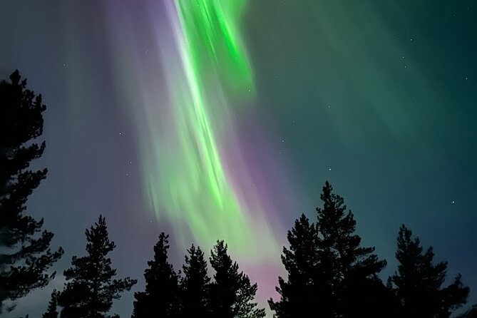 Aurora Hunting with Reindeer Caravan - 5:30 pm pickup and the ride out from Kiruna