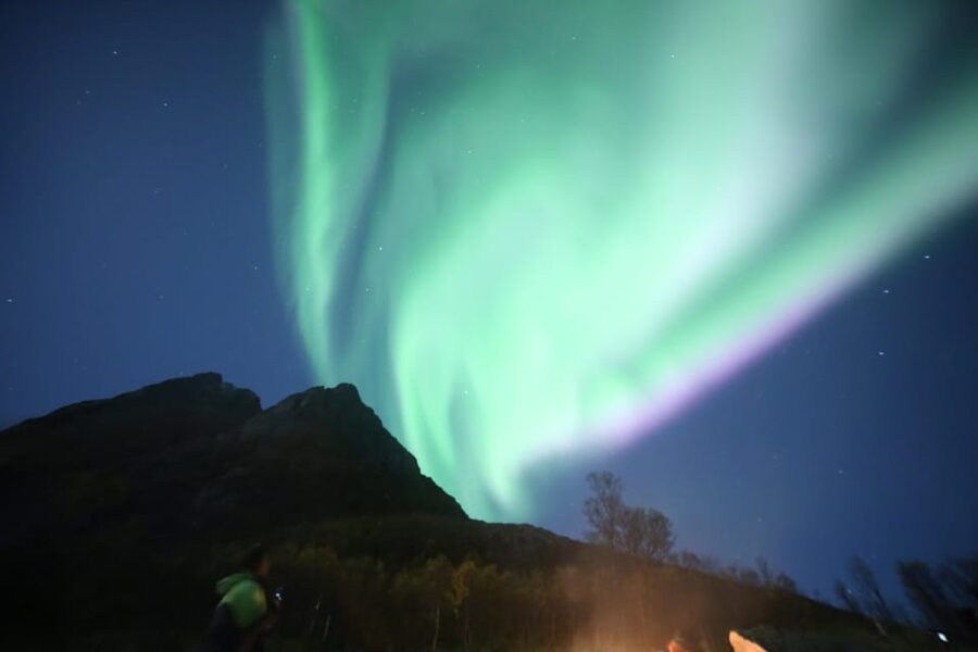 Aurora Optimum: Best 3-Night Forecast - The “high-tech chase” part: how guides use real-time information