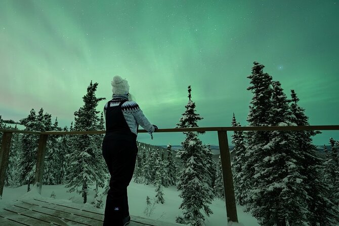 Aurora Oval Nightly Northern Lights Chase - Timing Matters: 10:30pm Start and the 11pm–3am Aurora Oval Pass