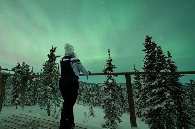 Aurora Oval Nightly Northern Lights Chase - Cancellation and Weather: The One Thing You Can’t Control