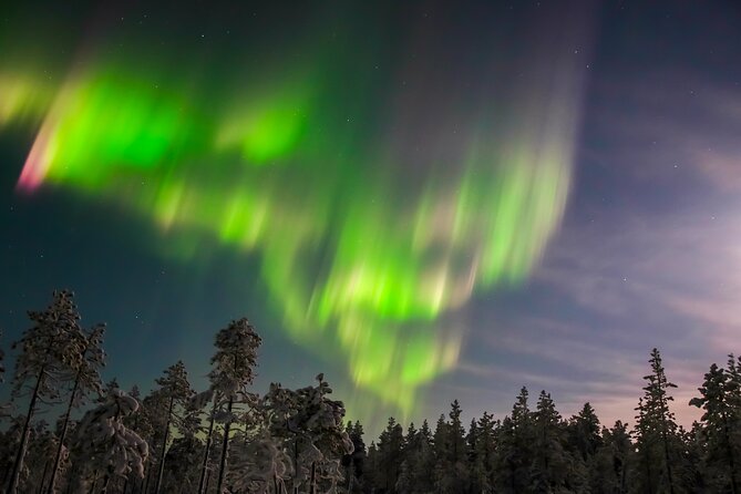 Aurora Photo Experience by Car from Saariselkä - Key points before you chase the lights