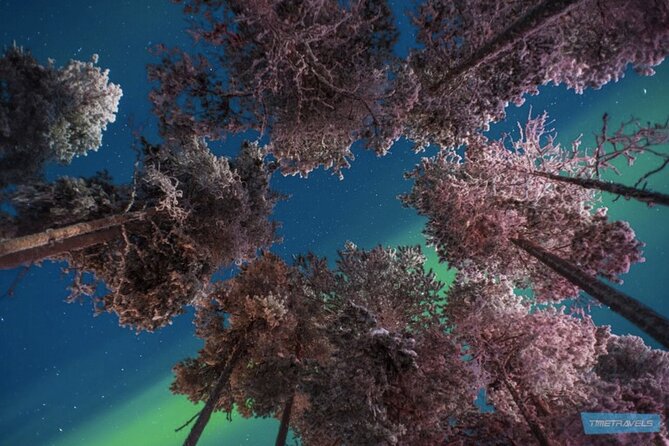 Aurora Photography Tour 3 HOURS - Timing: how 3 hours actually plays in the dark
